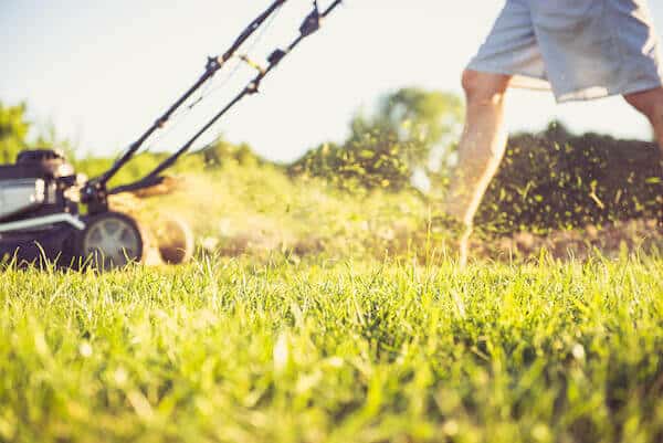 lawnmower (2)