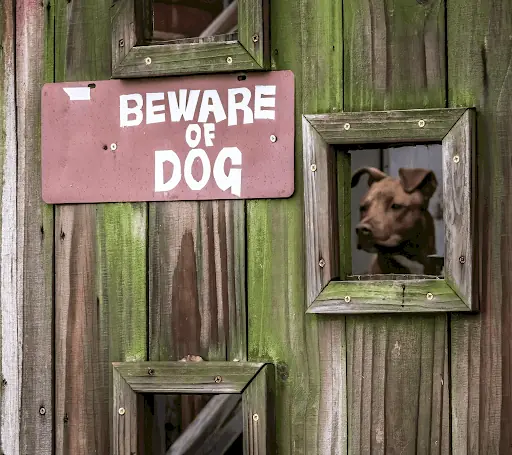 beware of dog