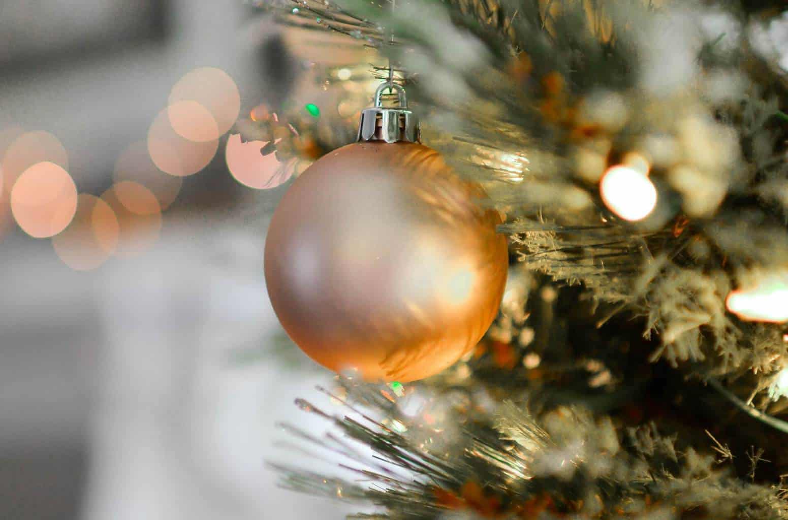 pal-season-festive Season Festive